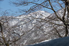 塔ノ岳　清明を迎えて雪肌も見納めかな