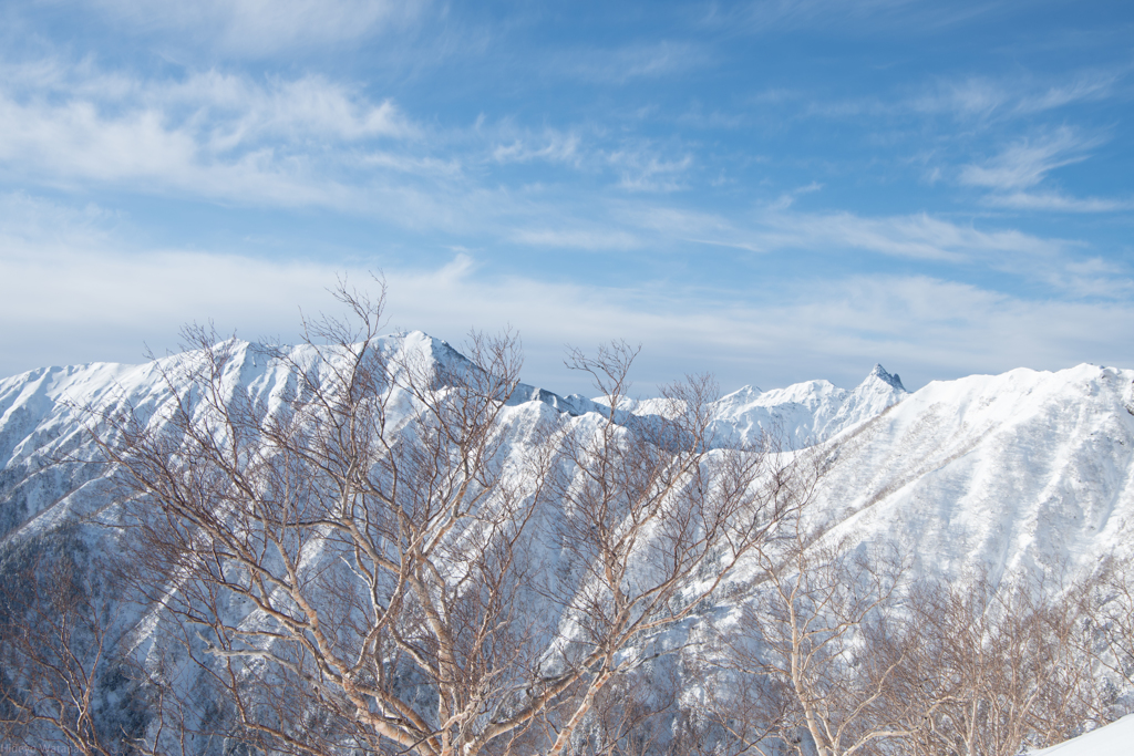 合戦尾根から　槍ヶ岳　遠望