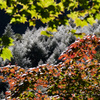 Entrance to Autumn