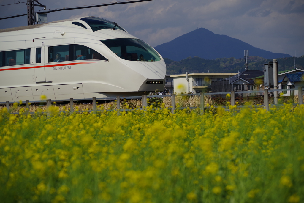 午後のVSE