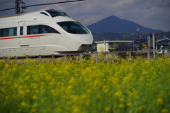 午後のVSE