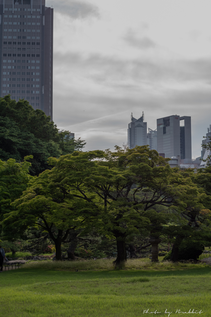 新宿御苑