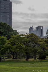 新宿御苑