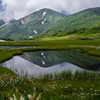 初夏の火打山