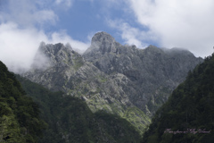 見上げる先に・・・