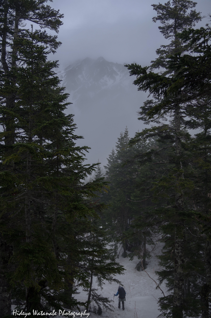 霞む頂き、残雪期の西穂の峰