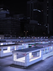 Station Light