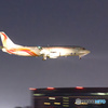 天津貨運航空のお姿