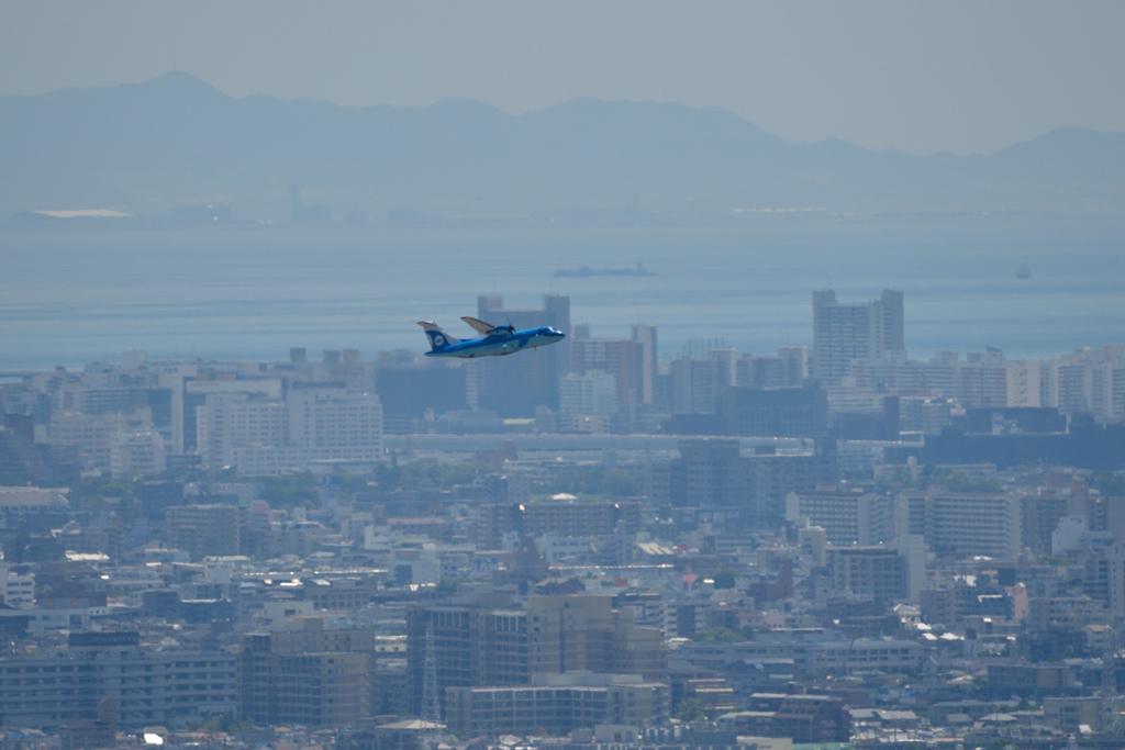 海へ