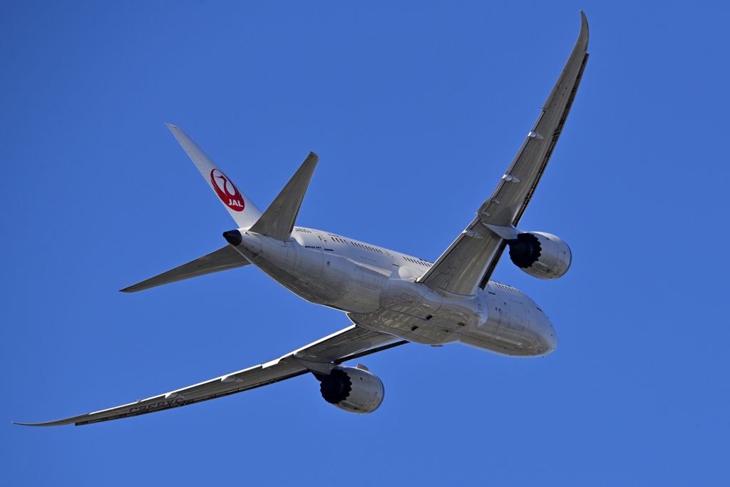 下河原からのJAL787