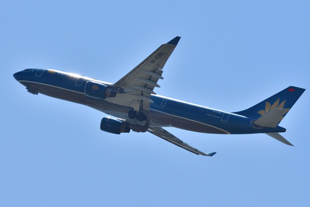 A330-200おなか