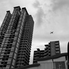 高楼