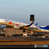 東北FlowerJet　定番ショット