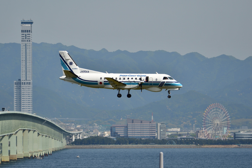 コウノトリ帰投