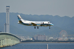コウノトリ帰投