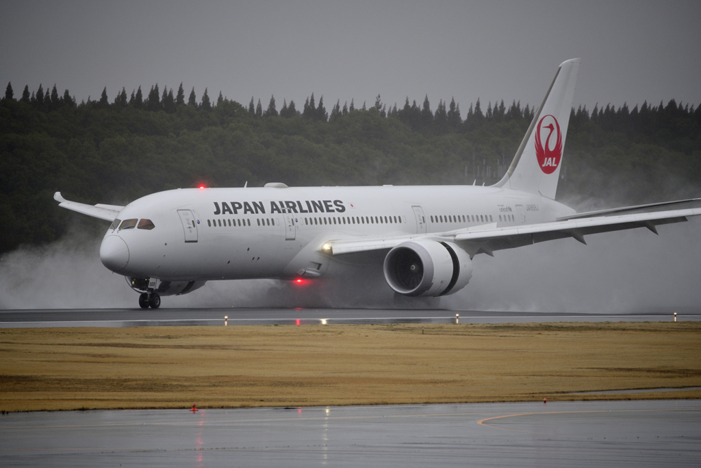 静かなJAL787