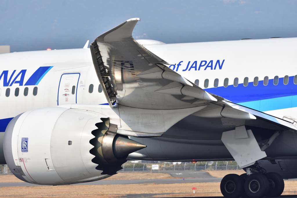 787の翼の下