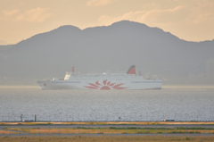 番外編、さんふらわぁ