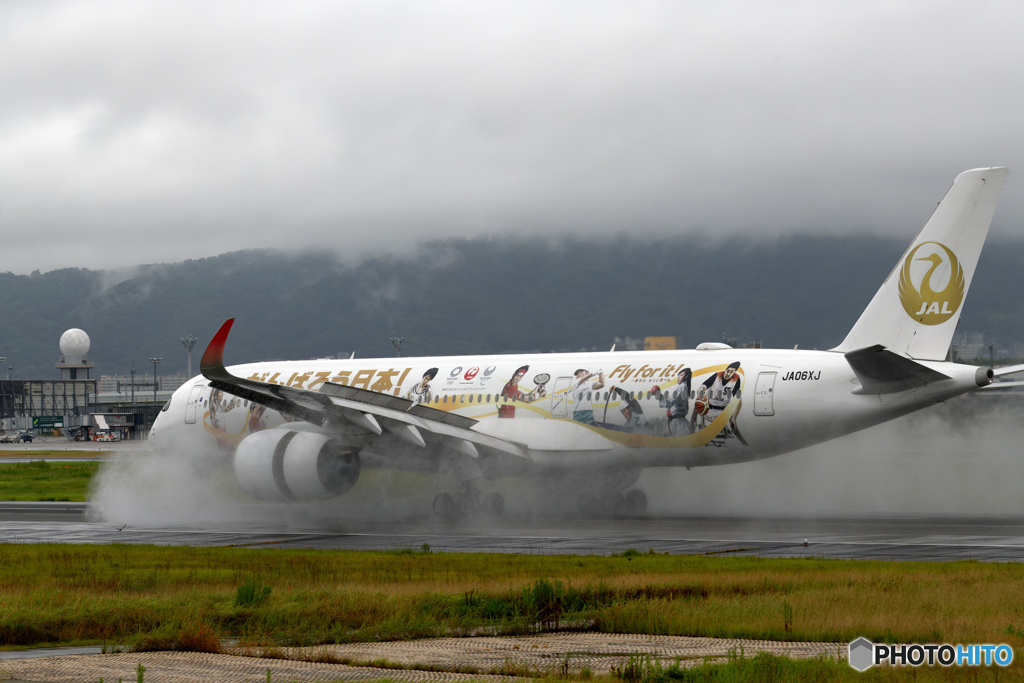 雨での遭遇