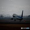 737 ふゆ