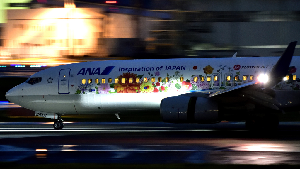 お花を写そう＿夜バージョン