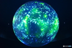 FIREFLY