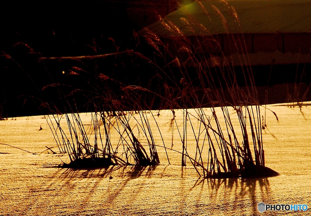 冬の朝ひの光と影