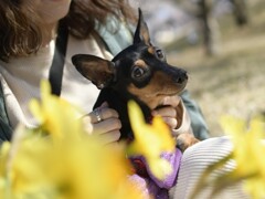 振り向きざまの、、、