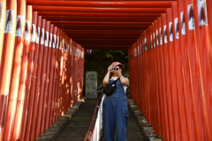 鳥居と写真