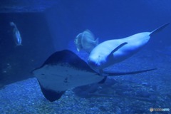 6241730880_IMG_9980