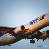 BOEING 737-800
