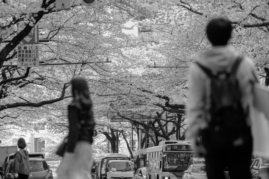 passer-by