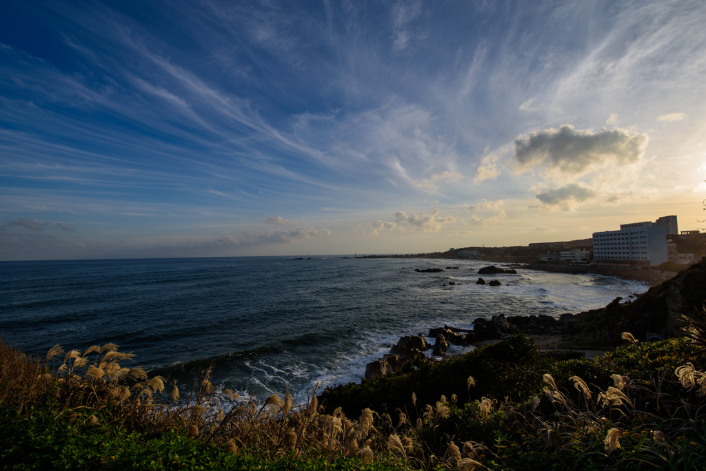 BOSO VIEW