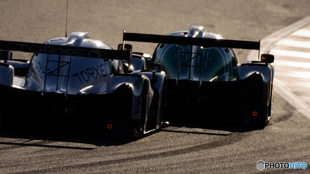 nose to tail
