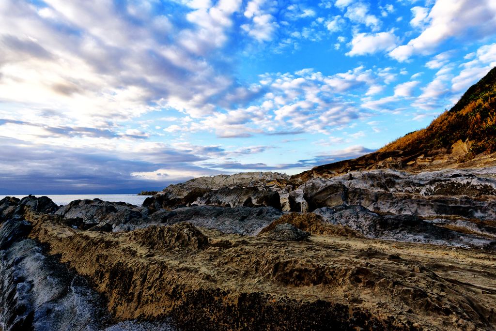 Rock Reef Art