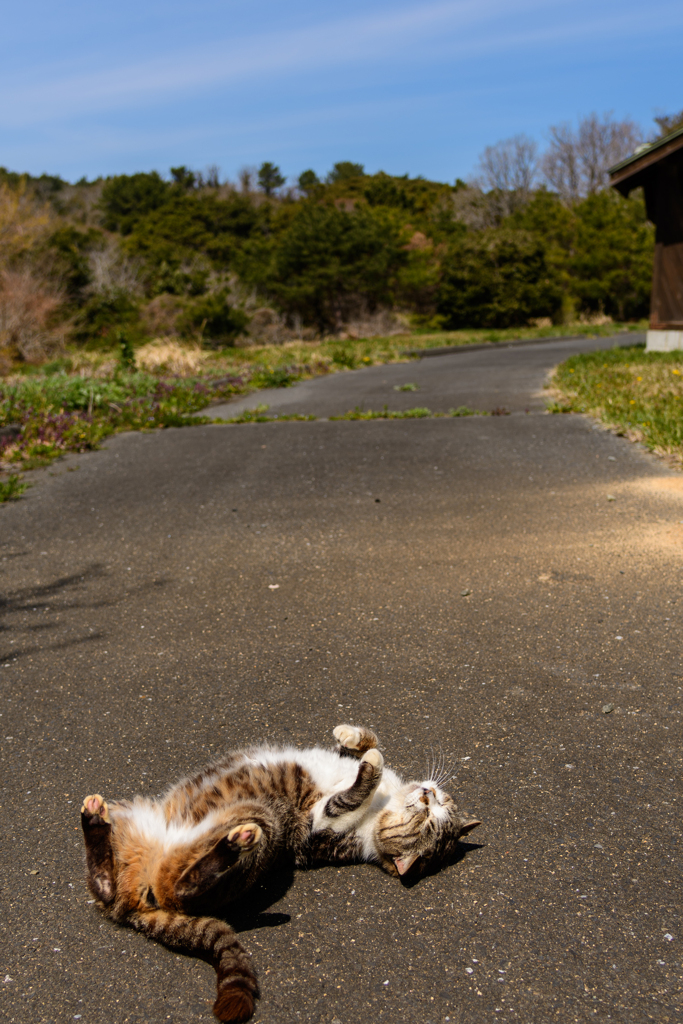 道の途中