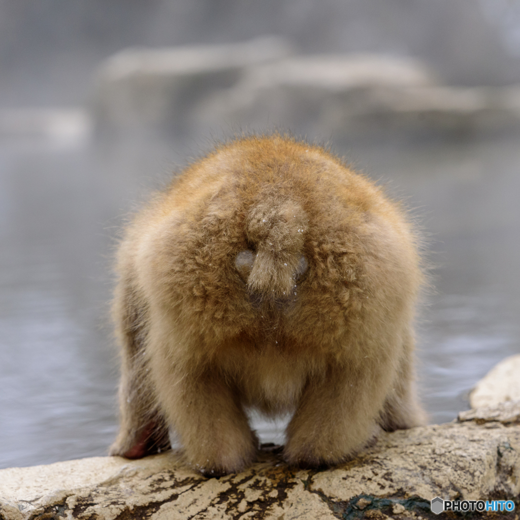 お湯を飲む