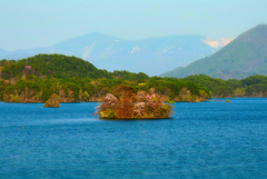 裏磐梯 桧原湖 小桜島