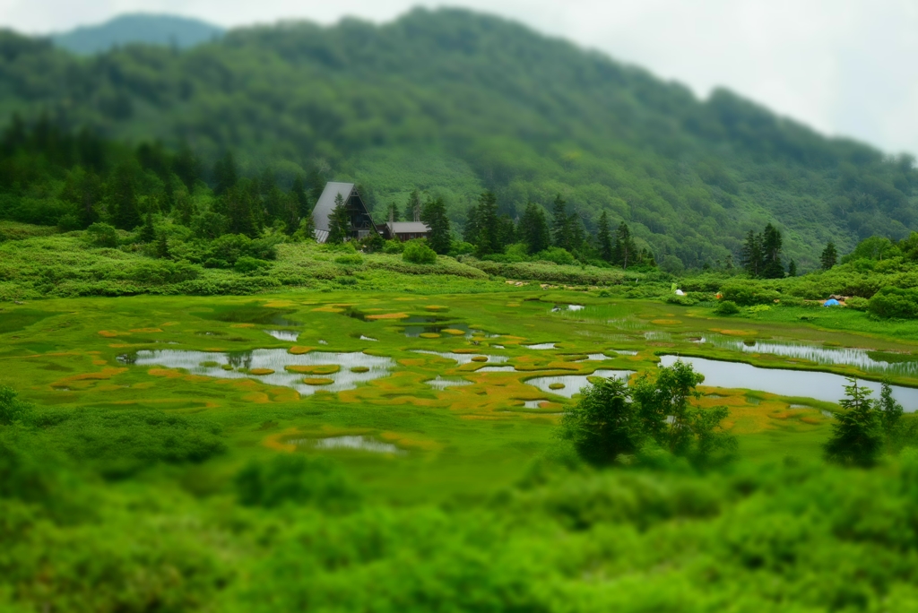 火打山 高谷池