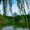 名古屋城
