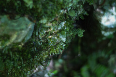 DSC06968