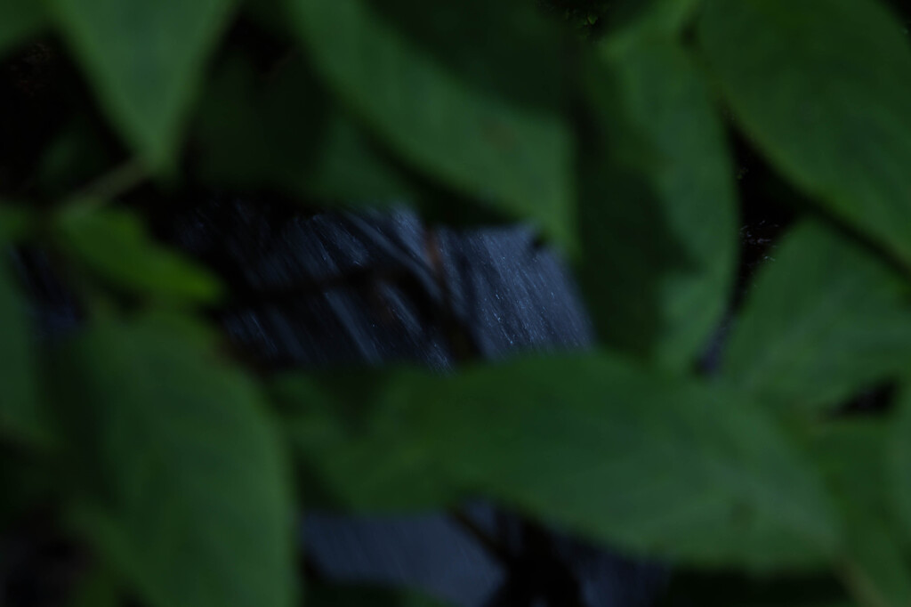 DSC06991