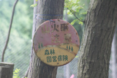 DSC07163