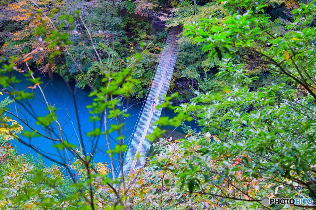 寸又峡　夢の吊橋