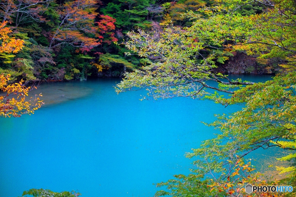 寸又峡　夢の吊橋