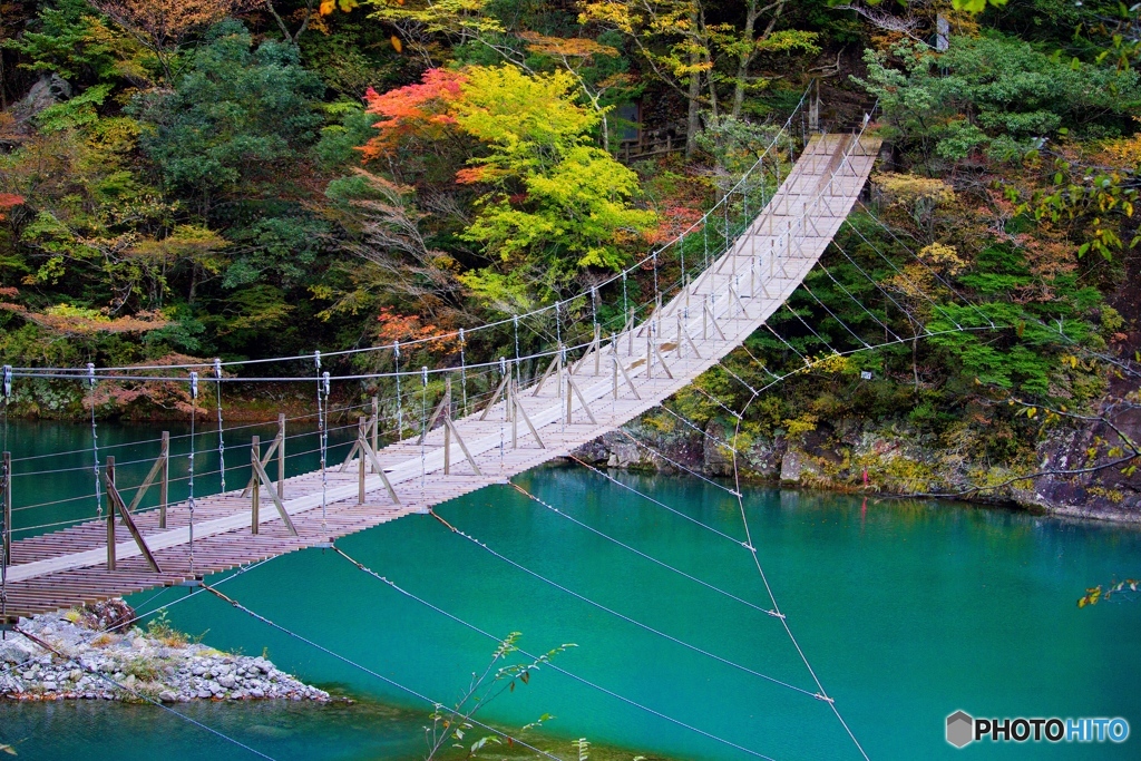 寸又峡　夢の吊橋