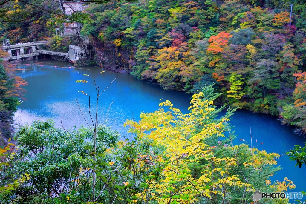 寸又峡　夢の吊橋