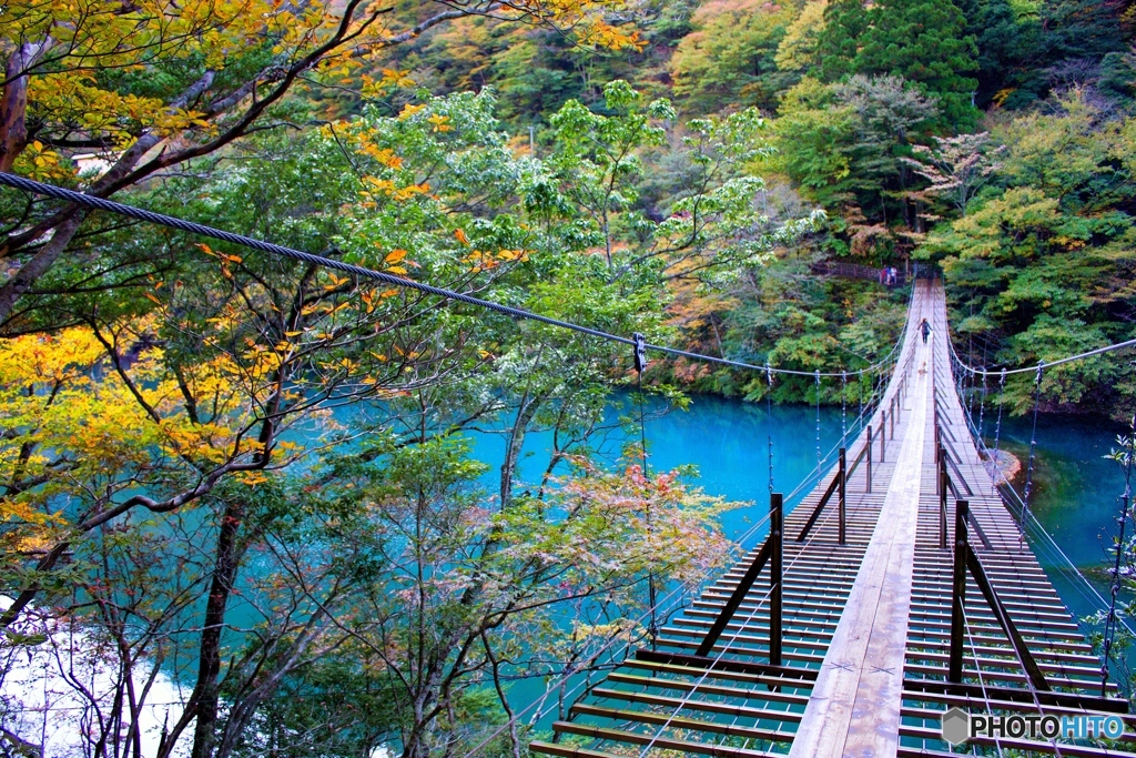 寸又峡　夢の吊橋