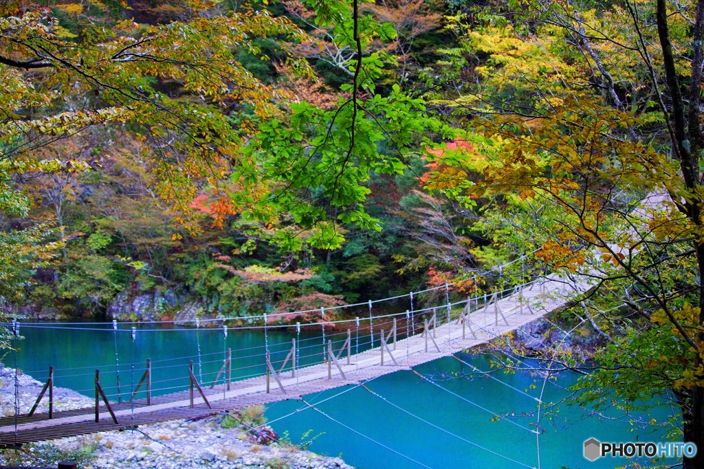 寸又峡　夢の吊橋
