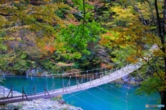 寸又峡　夢の吊橋